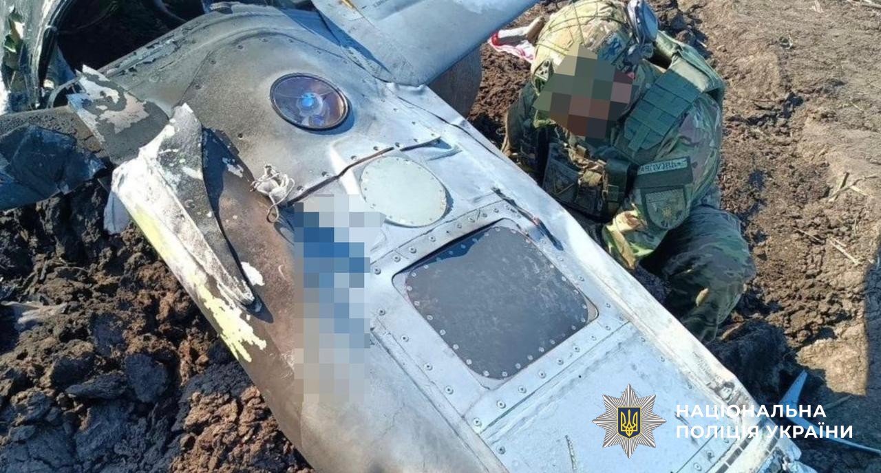 v30_655d76e96fde904aa48abb5ceca2527e