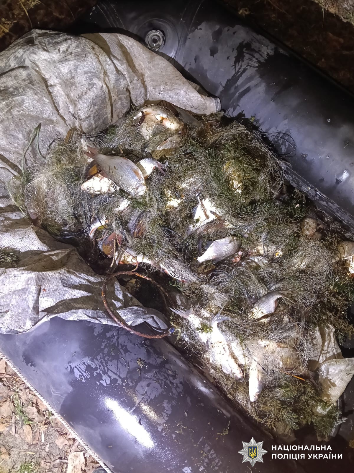 v30_bd78ea37159248596dad1144dcdba29c