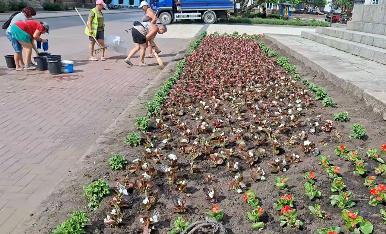 Комунальники висадили квітник з бегоній на площі Героїв Майдану в Кропивницькому.