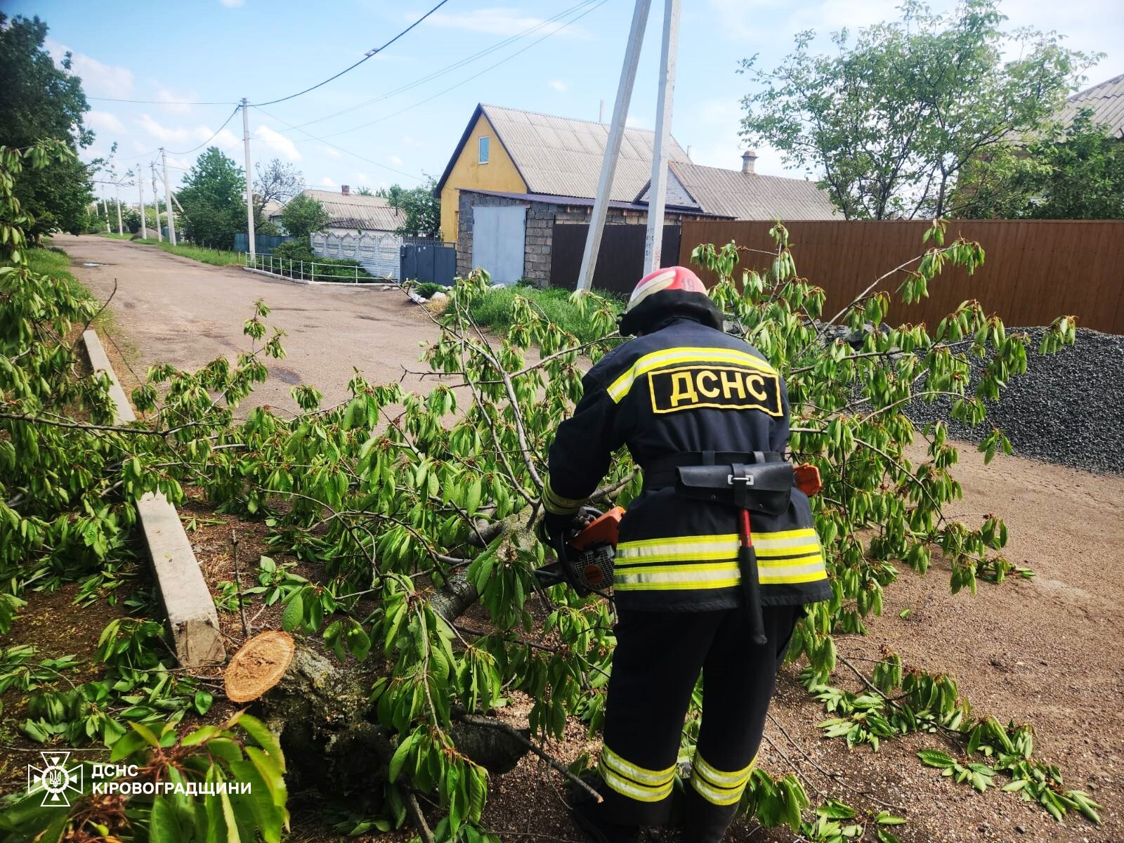 В Олександрії внаслідок негоди дерево впало на території дитячого садка.