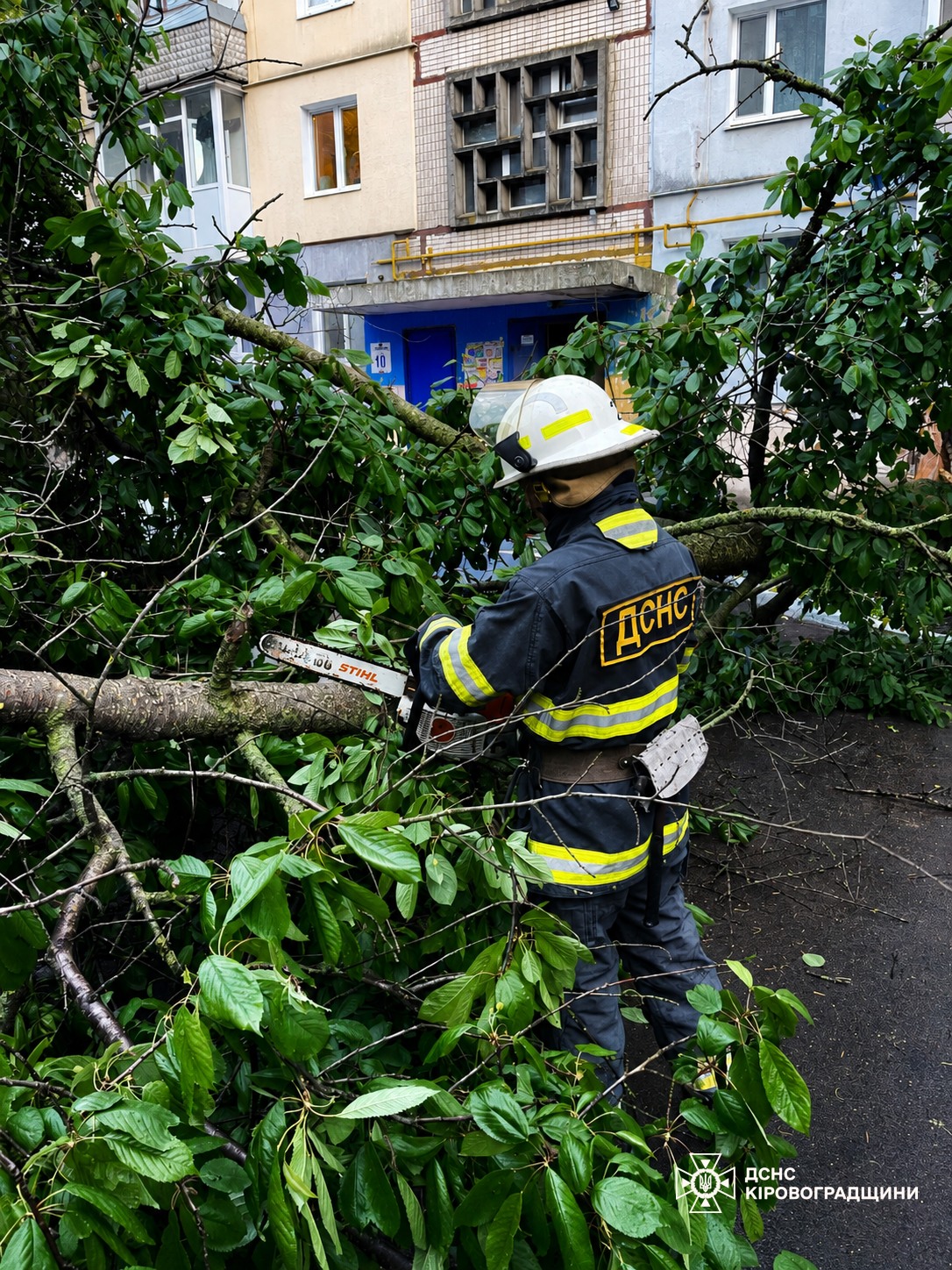 В Олександрії внаслідок негоди дерево впало на території дитячого садка.