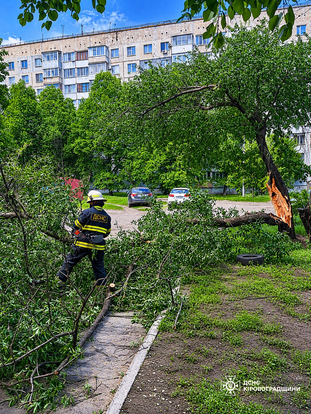 В Олександрії внаслідок негоди дерево впало на території дитячого садка.