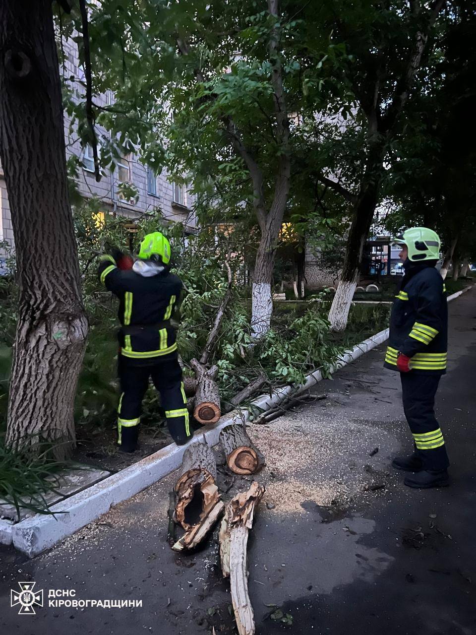 Повалені дерева в Кропивницькоум