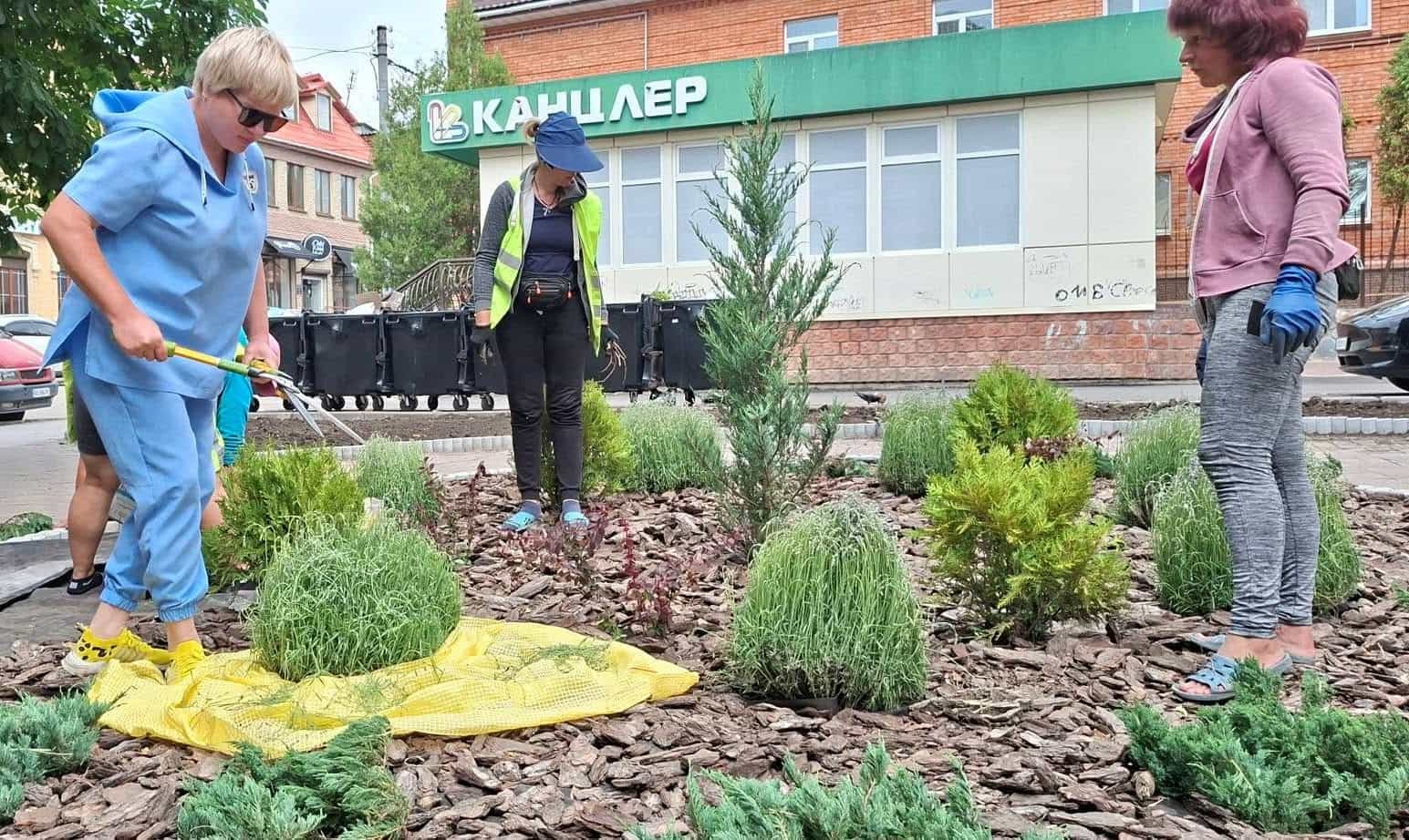 На розі вулиць Віктора Чміленка та Пашутинської в Кропивницькому з&rsquo;явилася нова декоративна ландшафтна композиція.&nbsp;