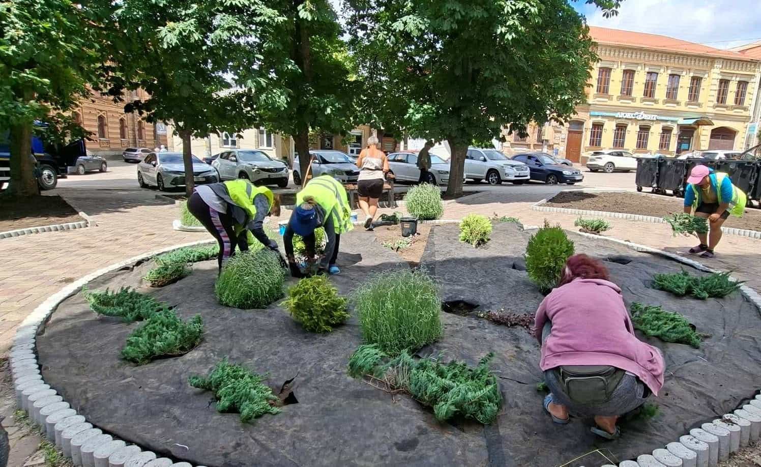 На розі вулиць Віктора Чміленка та Пашутинської в Кропивницькому з&rsquo;явилася нова декоративна ландшафтна композиція.&nbsp;