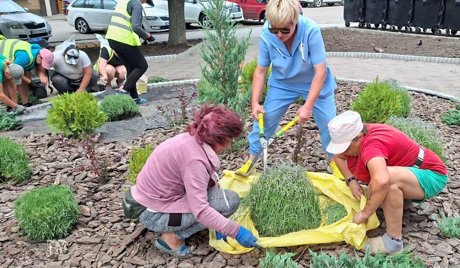 На розі вулиць Віктора Чміленка та Пашутинської в Кропивницькому з&rsquo;явилася нова декоративна ландшафтна композиція.&nbsp;