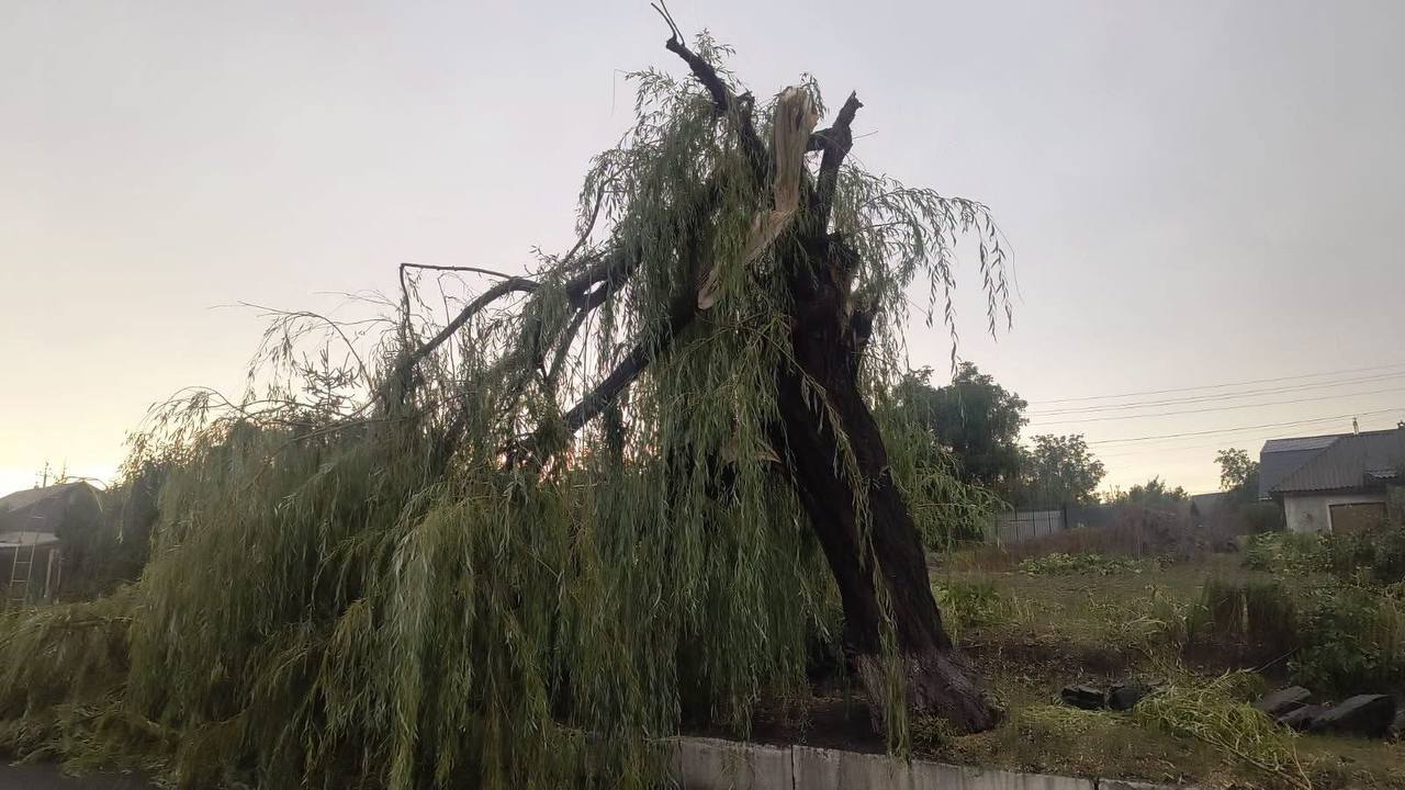 Негода пошкодила будинки та залишила без світла частину Гайворонської громади