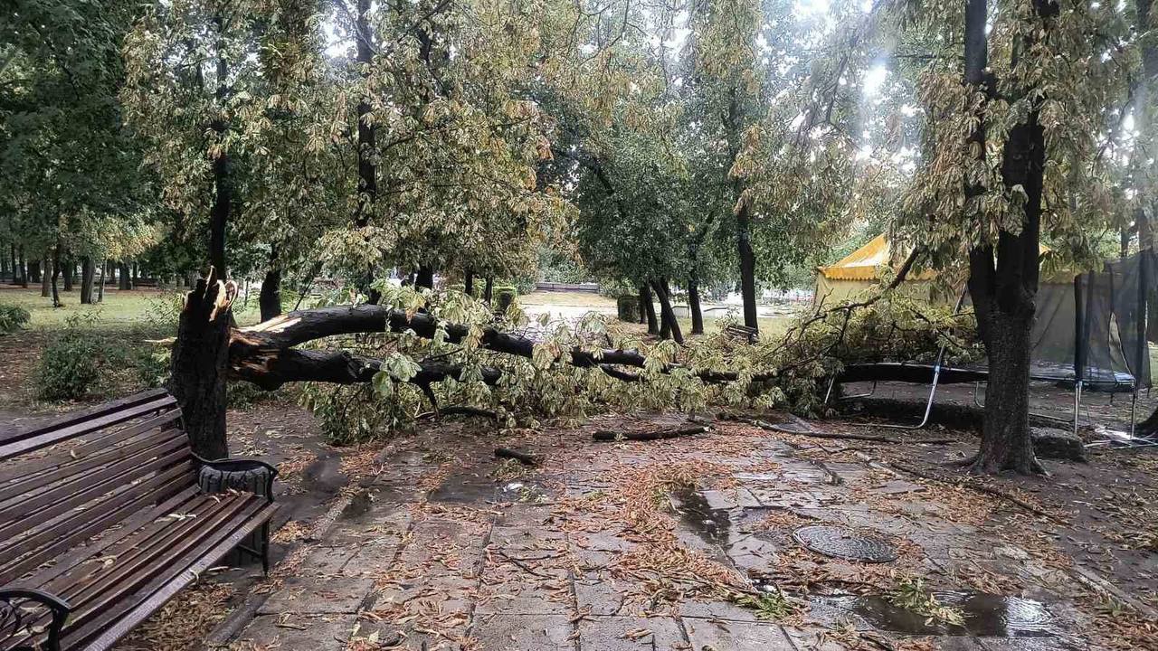 Негода пошкодила будинки та залишила без світла частину Гайворонської громади