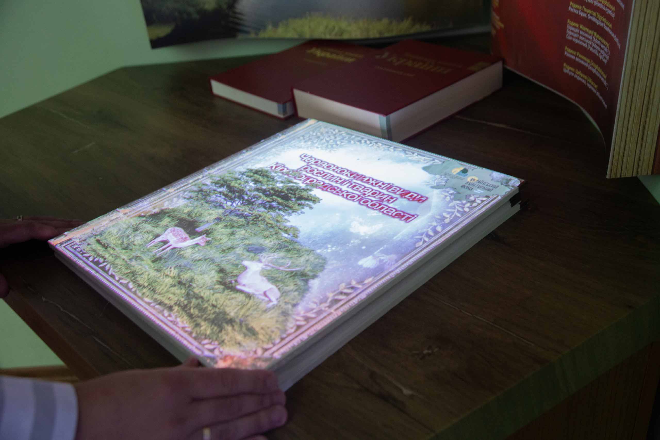 Інтерактивна книга