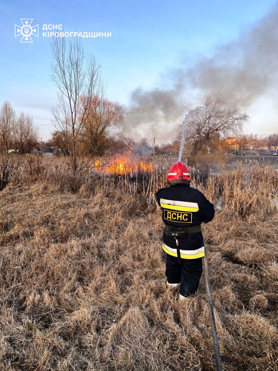 В Олександрійському районі згоріло 20 гектарів очерету