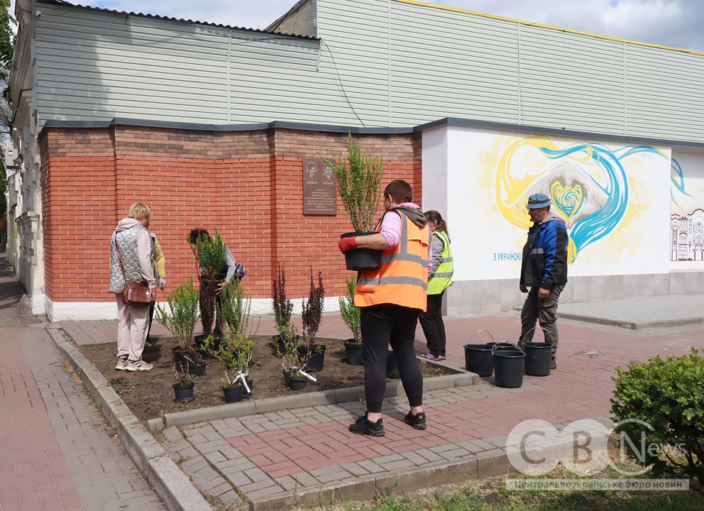 Висаджують дерева в Кропивницькому