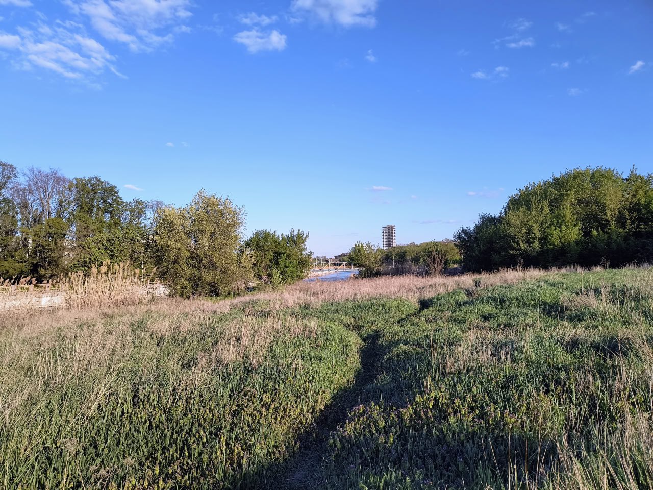Земельна ділянка на березі Інгула в Кропивницькому, що здається в оренду